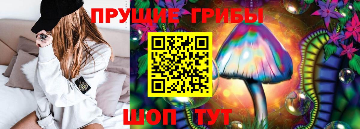 Псилоцибиновые грибы Psilocybe  Вход с VPN  Мариинск 